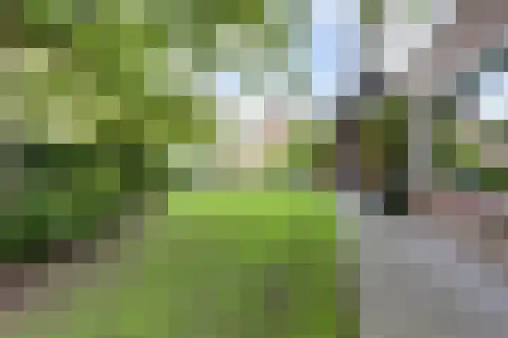 Ratelwacht 33 Beuningen Gld thumbnail 63