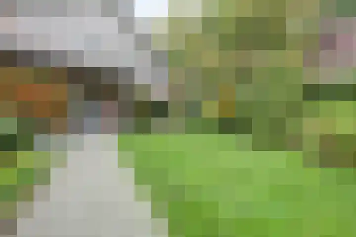 Ratelwacht 33 Beuningen Gld thumbnail 64