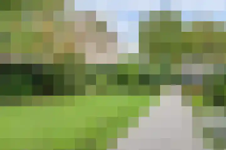 Ratelwacht 33 Beuningen Gld thumbnail 65