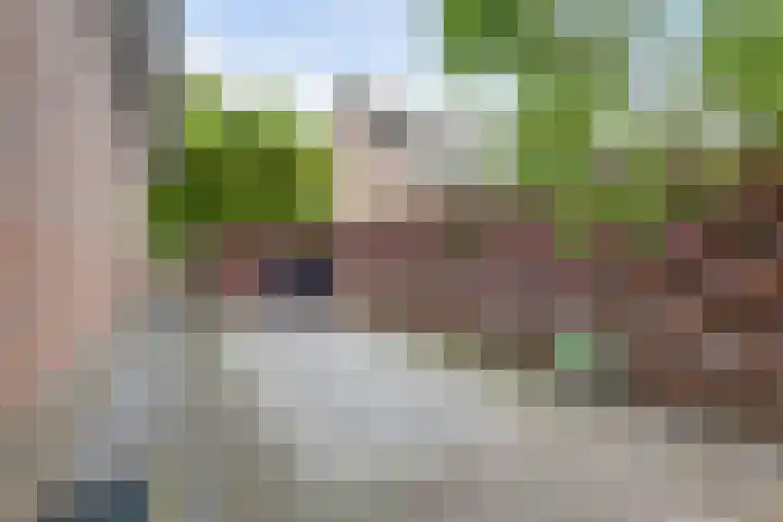 Ratelwacht 33 Beuningen Gld thumbnail 66