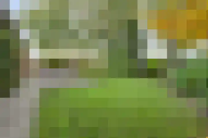 Ratelwacht 33 Beuningen Gld thumbnail 67