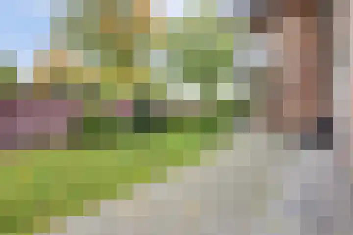 Ratelwacht 33 Beuningen Gld thumbnail 68