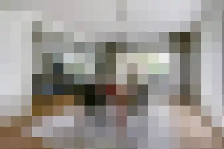 Ratelwacht 33 Beuningen Gld thumbnail 7