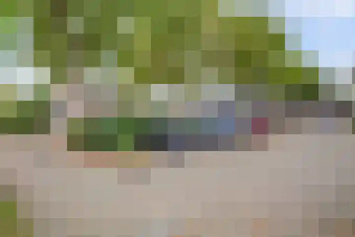 Ratelwacht 33 Beuningen Gld thumbnail 70