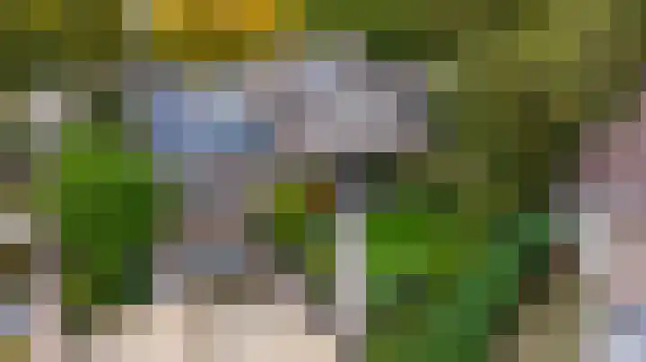 Ratelwacht 33 Beuningen Gld thumbnail 71