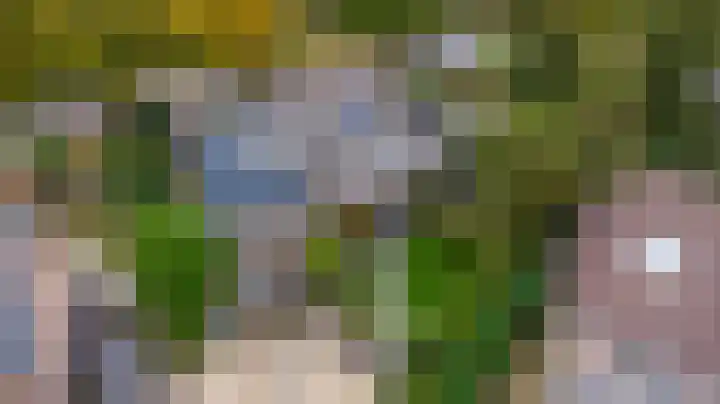 Ratelwacht 33 Beuningen Gld thumbnail 72