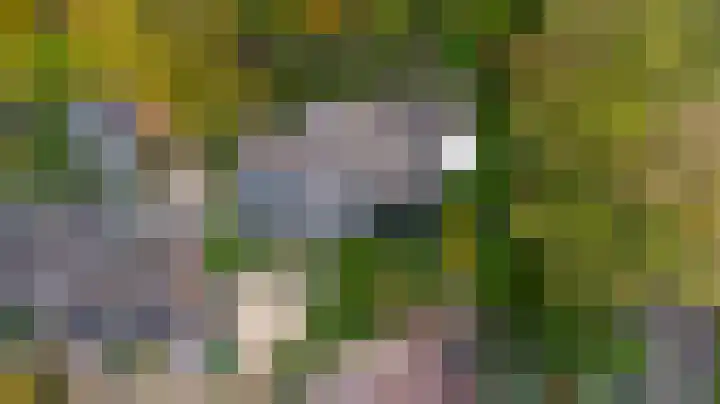 Ratelwacht 33 Beuningen Gld thumbnail 73