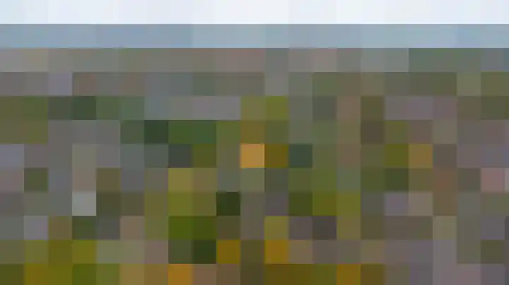 Ratelwacht 33 Beuningen Gld thumbnail 75