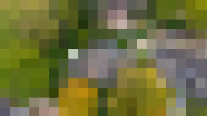Ratelwacht 33 Beuningen Gld thumbnail 76