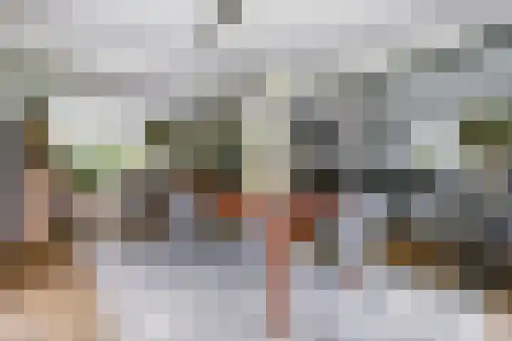 Ratelwacht 33 Beuningen Gld thumbnail 8