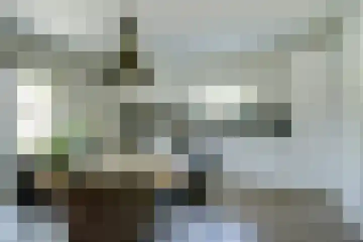 Ratelwacht 5 Drachten thumbnail 11