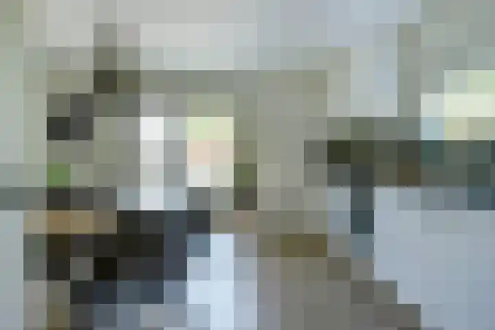 Ratelwacht 5 Drachten thumbnail 12