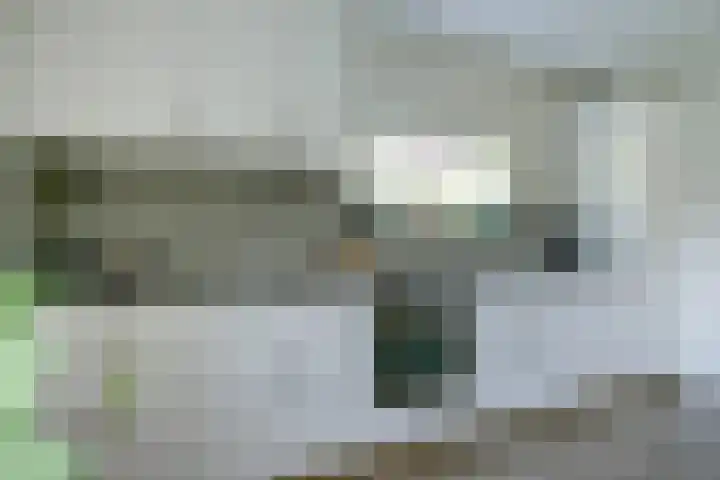 Ratelwacht 5 Drachten thumbnail 13