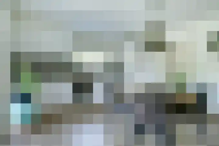 Ratelwacht 5 Drachten thumbnail 14