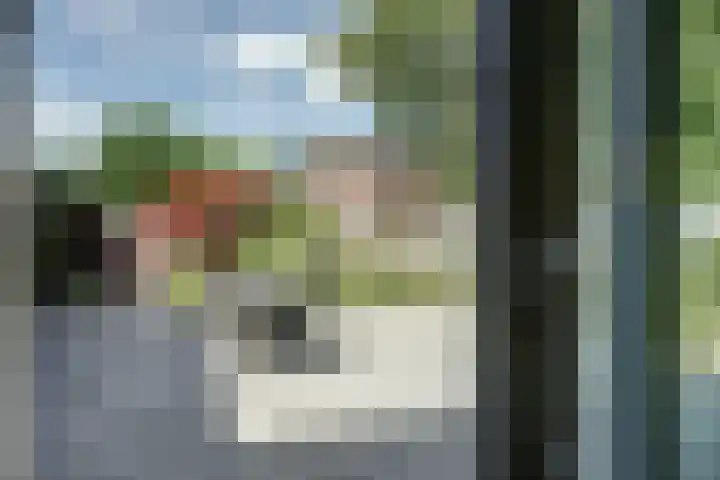Ratelwacht 5 Drachten thumbnail 28