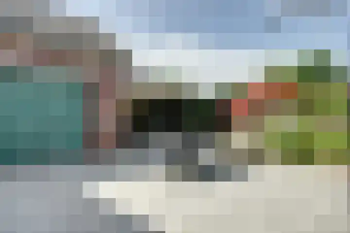 Ratelwacht 5 Drachten thumbnail 29