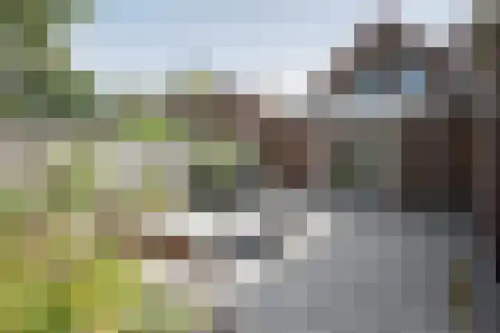 Ratelwacht 5 Drachten thumbnail 31