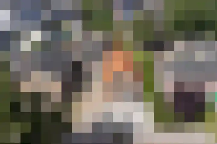 Ratelwacht 5 Drachten thumbnail 33