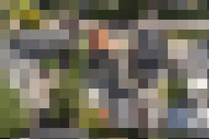 Ratelwacht 5 Drachten thumbnail 34
