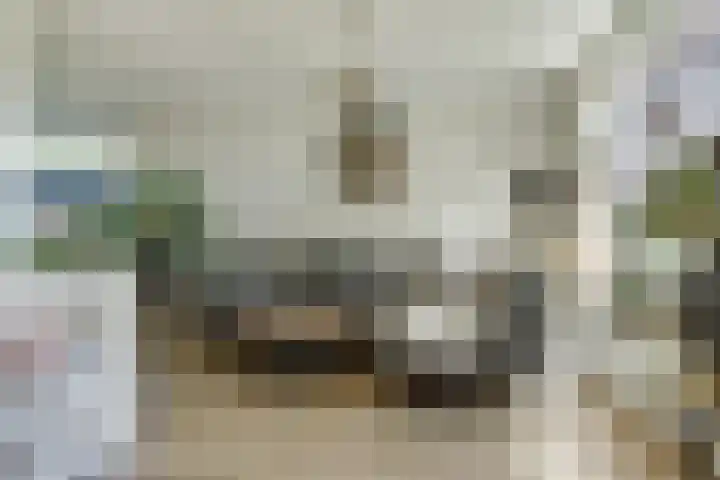 Ratelwacht 5 Drachten thumbnail 6