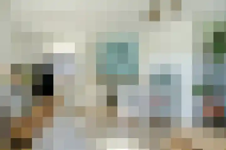 Ratelwacht 5 Drachten thumbnail 8