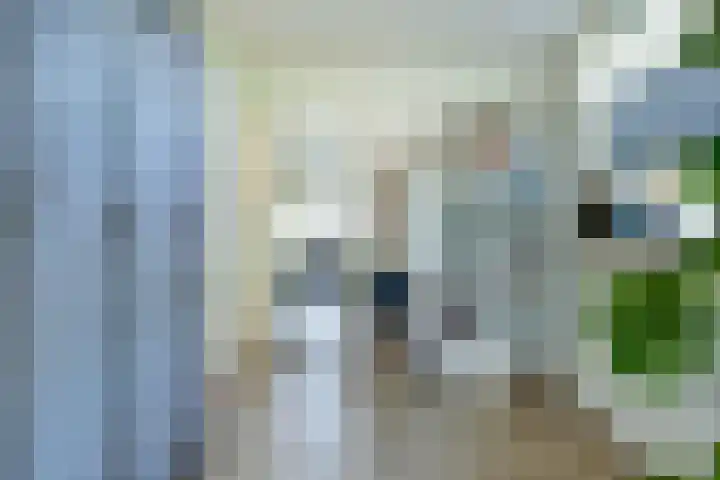 Ratelwacht 5 Drachten thumbnail 9