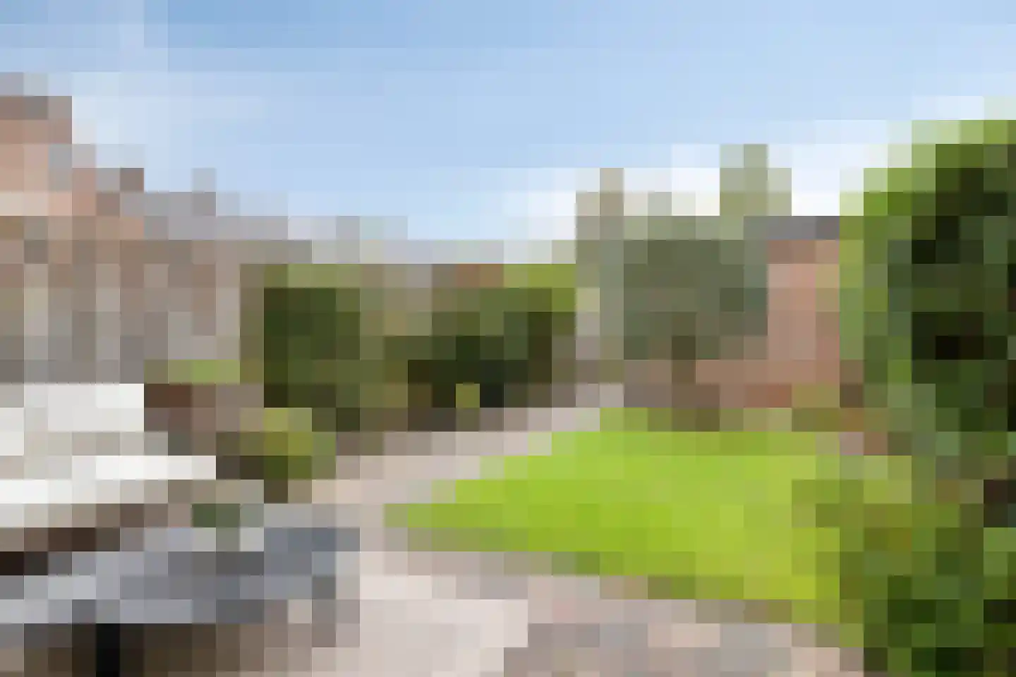 Ratelwacht 50 Beuningen Gld thumbnail 34