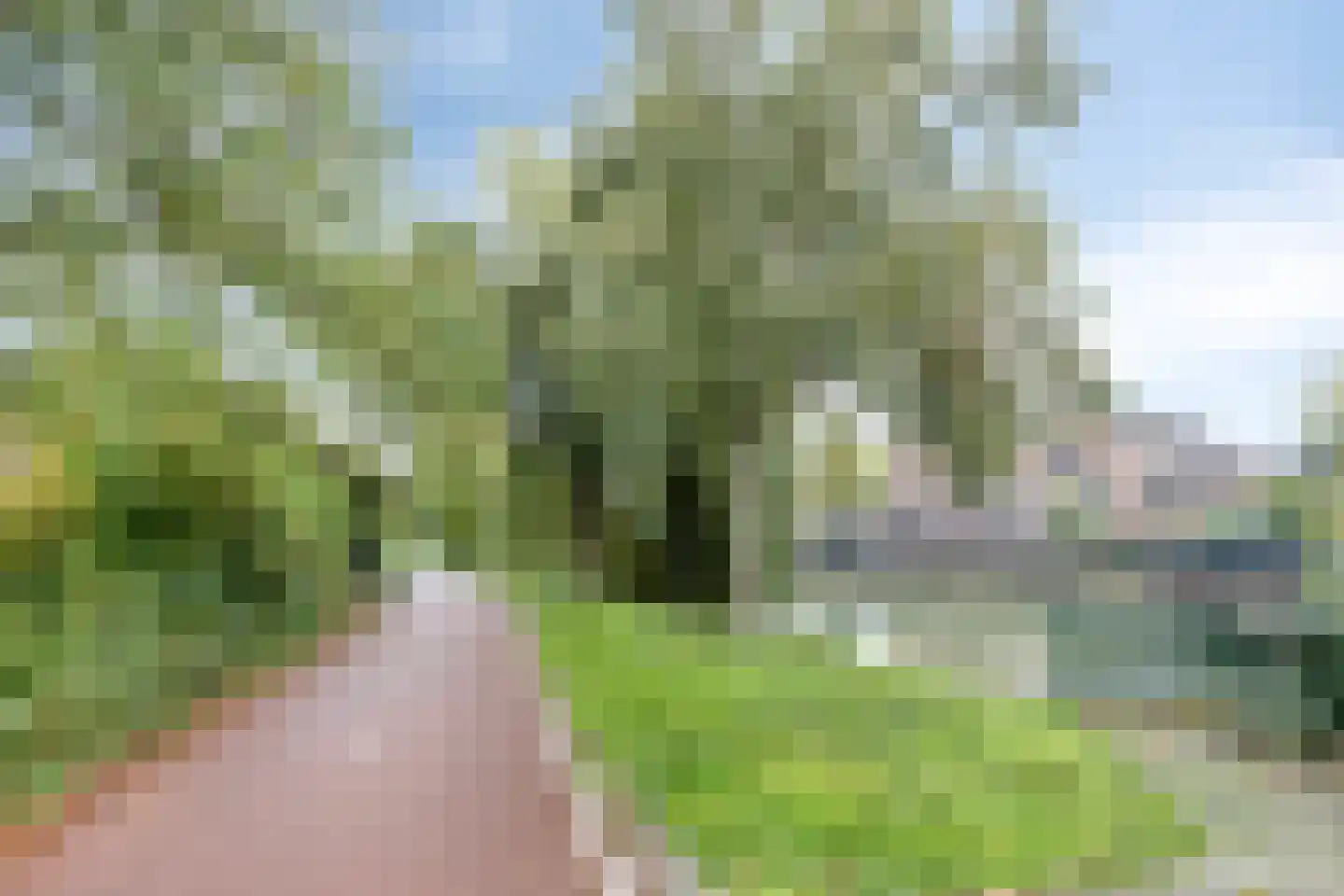Ratelwacht 50 Beuningen Gld thumbnail 38