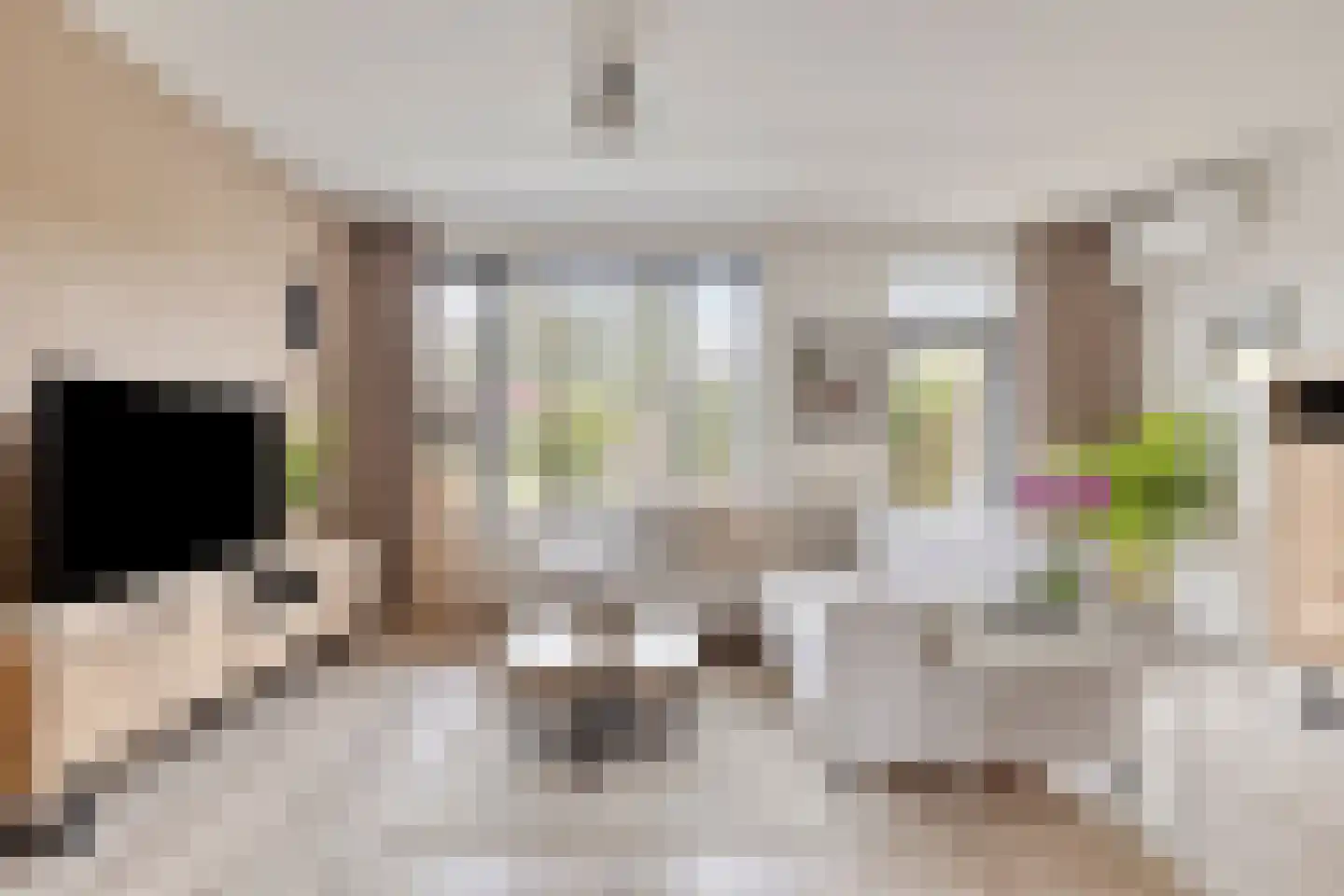 Ratelwacht 50 Beuningen Gld thumbnail 8