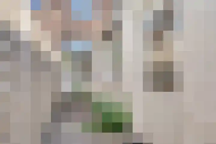 Ratinéstraat 9 Tilburg thumbnail 21