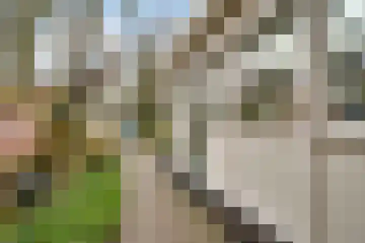 Ratommerweg 5 Roermond thumbnail 29