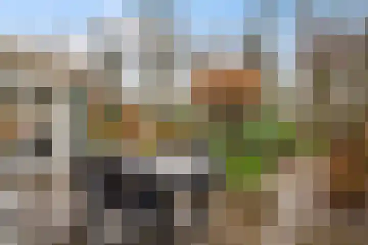 Ratommerweg 5 Roermond thumbnail 31
