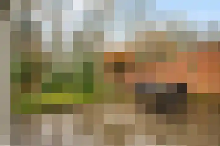 Ratommerweg 5 Roermond thumbnail 34