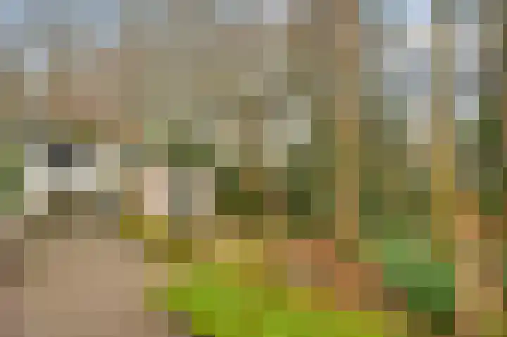 Ratommerweg 5 Roermond thumbnail 4
