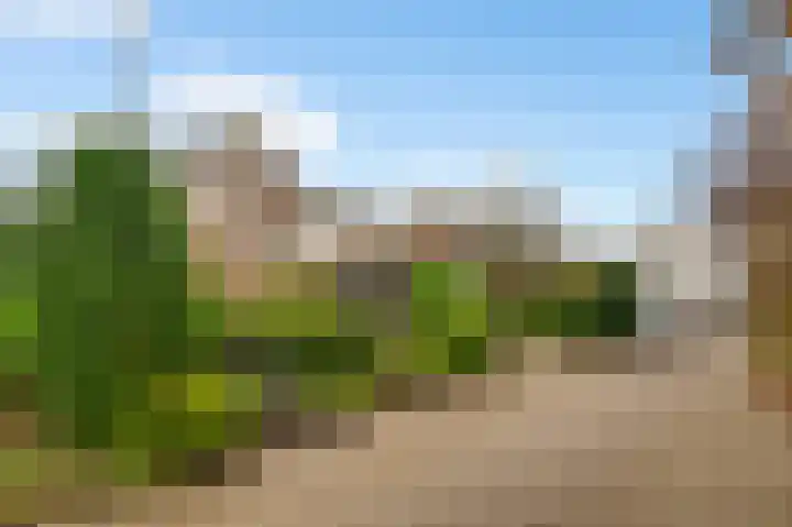 Ratommerweg 5 Roermond thumbnail 42