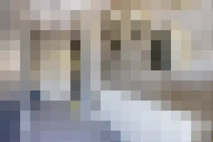 Rattelwacht 12 Gorredijk thumbnail 11