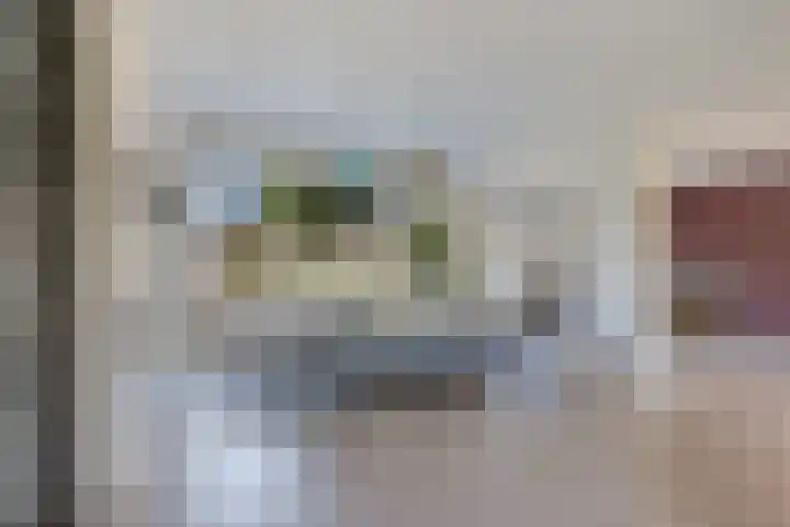 Rattelwacht 12 Gorredijk thumbnail 15