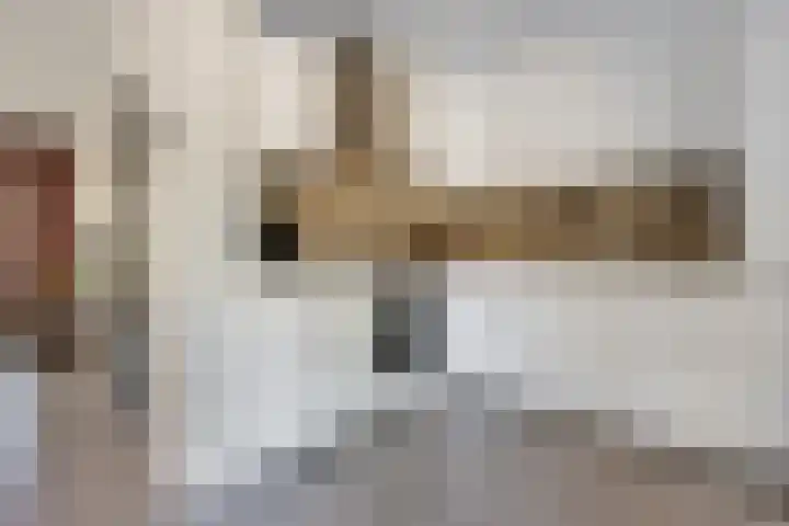 Rattelwacht 12 Gorredijk thumbnail 19