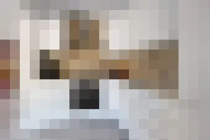 Rattelwacht 12 Gorredijk thumbnail 20