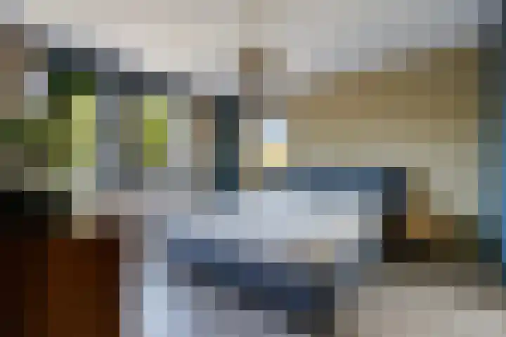 Rattelwacht 12 Gorredijk thumbnail 26