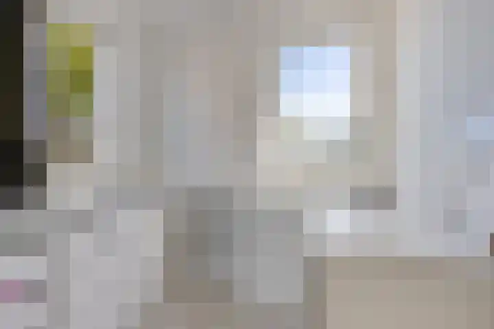 Rattelwacht 12 Gorredijk thumbnail 31