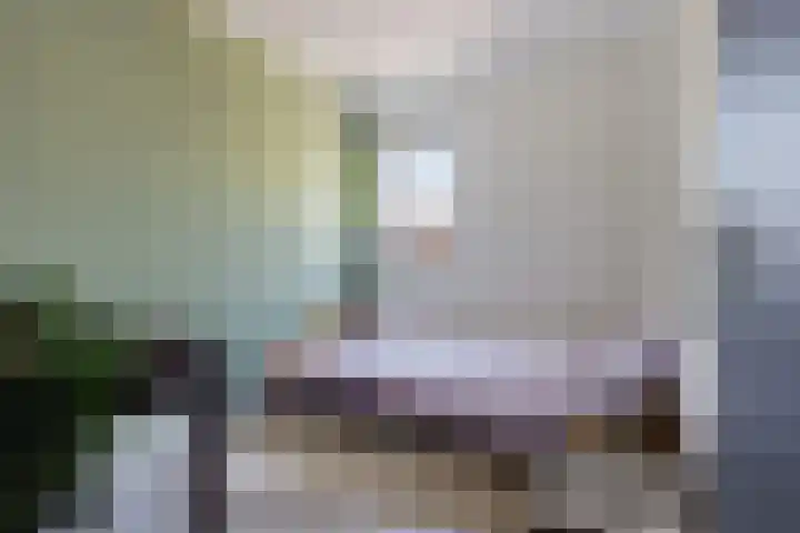 Rattelwacht 12 Gorredijk thumbnail 32