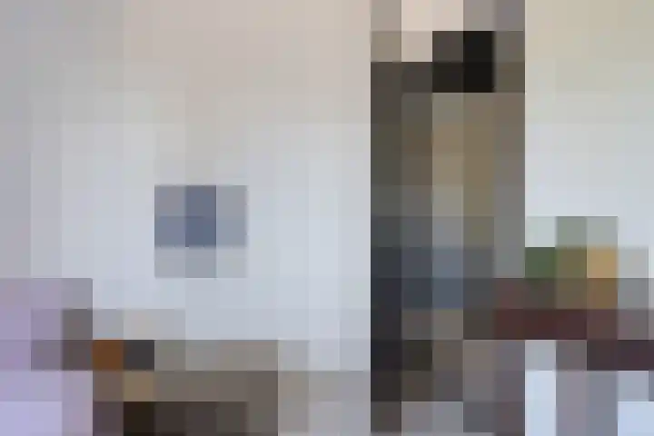 Rattelwacht 12 Gorredijk thumbnail 33