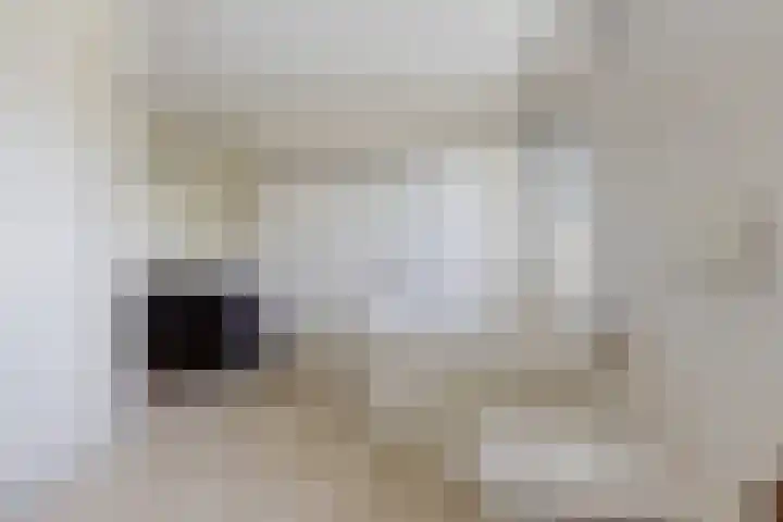 Rattelwacht 12 Gorredijk thumbnail 34