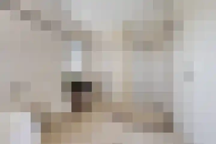 Rattelwacht 12 Gorredijk thumbnail 36