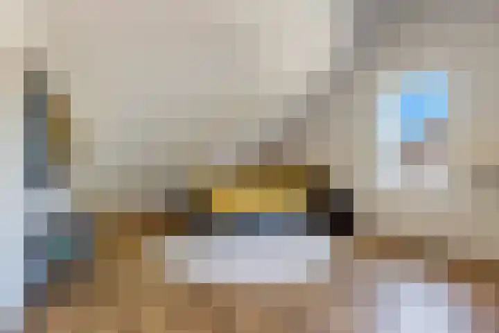 Rattelwacht 12 Gorredijk thumbnail 37