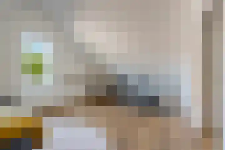 Rattelwacht 12 Gorredijk thumbnail 38