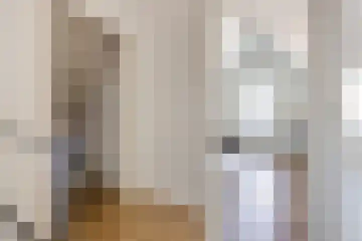 Rattelwacht 12 Gorredijk thumbnail 39