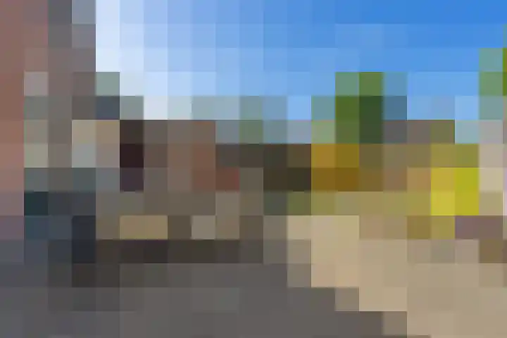 Rattelwacht 12 Gorredijk thumbnail 41