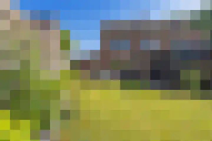 Rattelwacht 12 Gorredijk thumbnail 42
